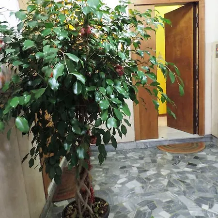 Sinfonia Di Apartment *
