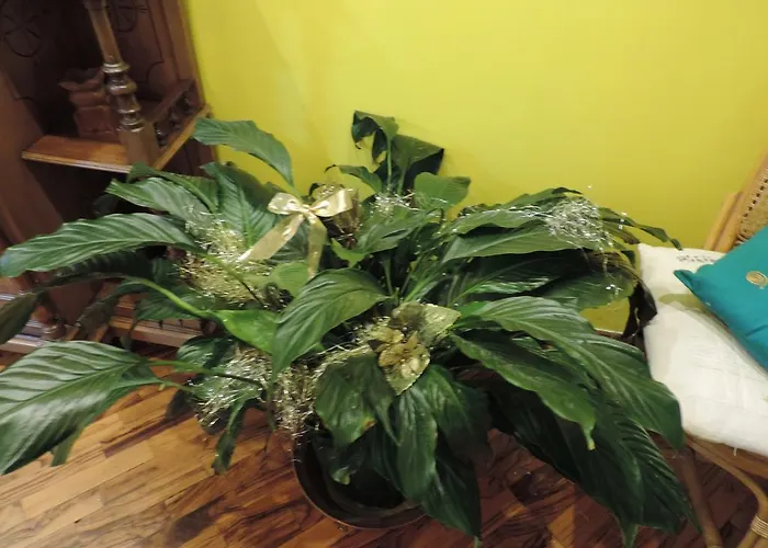 Lägenhet Sinfonia Di