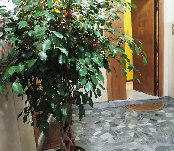 Sinfonia Di Lägenhet *