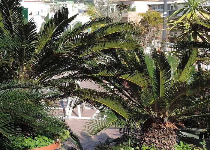 Sinfonia Di Lägenhet *