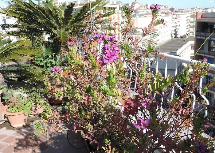 Lägenhet Sinfonia Di